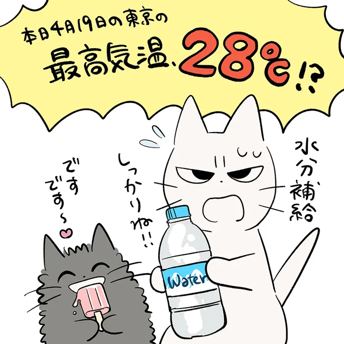 今日めっちゃ暑くなるらしいので気をつけて!! 