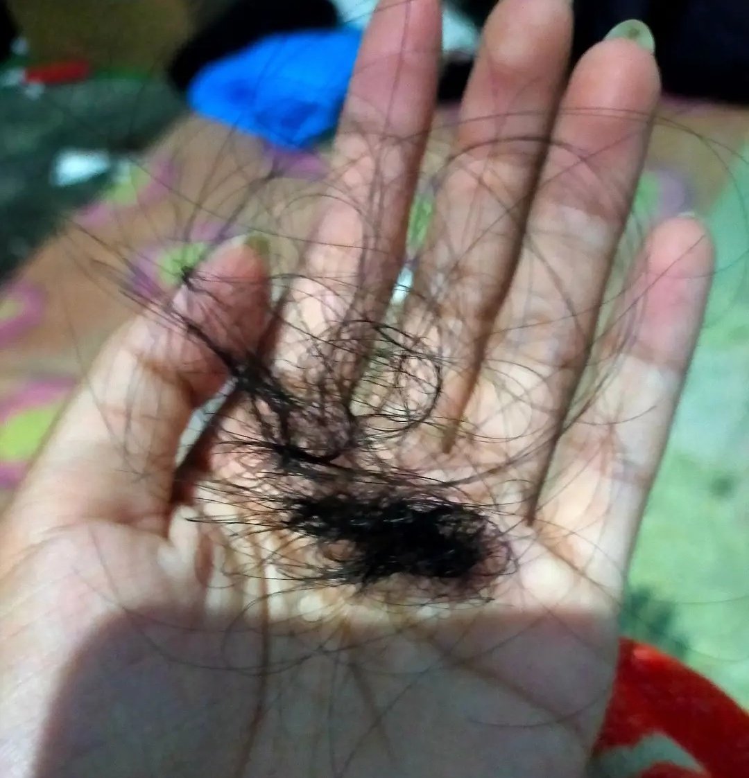 𐔌՞꜆. ̫.꜀՞𐦯 Aeri tweet media