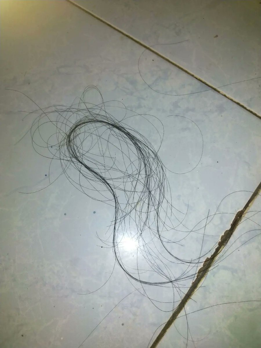 𐔌՞꜆. ̫.꜀՞𐦯 Aeri tweet media