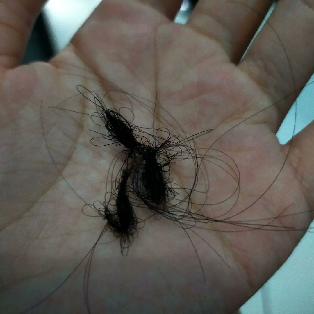 𐔌՞꜆. ̫.꜀՞𐦯 Aeri tweet media