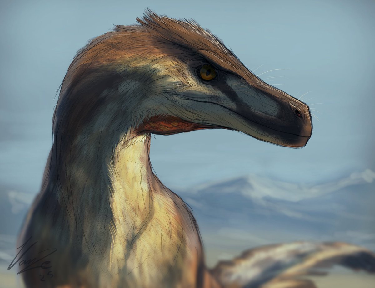 Ratio with ACTUAL velociraptors, 100% drawn by a real human and ...much more accurate.
(two of them are much older)

#VelociraptorAwarenessDay