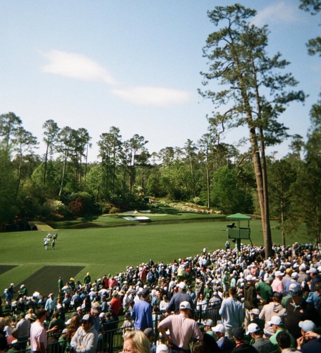 📸 🏌️‍♂️ Disposable camera photos taken during The Masters this year 🔥 

(Via: idontdocontracts/reddit)
