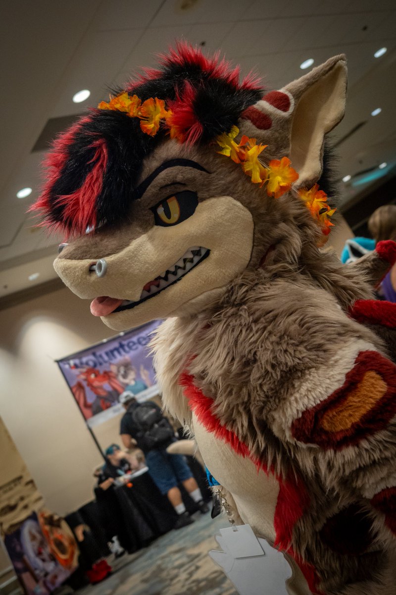 StraBenversion's tweet photo. #TFF2025  was a fantastic way to start my con journey! 

What an experience and a perfect opportunity to capture some pics of some truly unique fursuits. I've got quite a few pics to share, so I plan to post them periodically for #FursuitFriday! https://t.co/PIInmspy3o