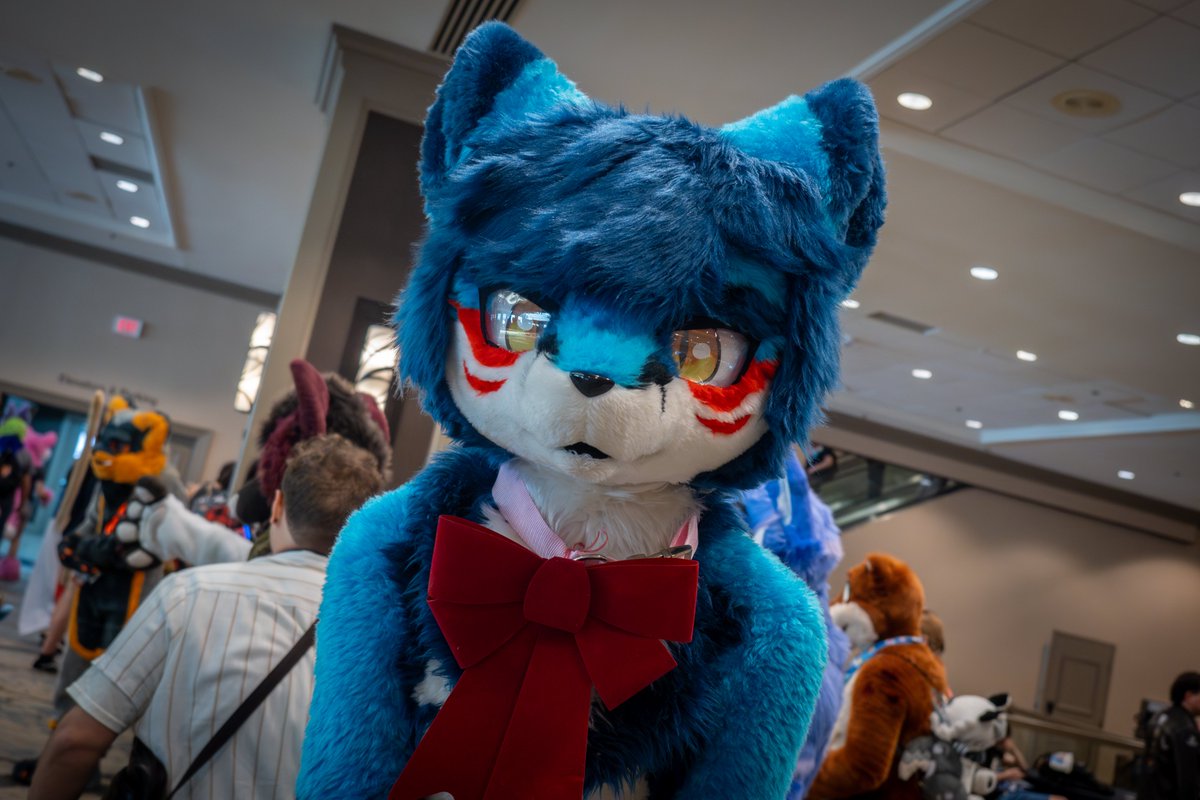 StraBenversion's tweet photo. #TFF2025  was a fantastic way to start my con journey! 

What an experience and a perfect opportunity to capture some pics of some truly unique fursuits. I've got quite a few pics to share, so I plan to post them periodically for #FursuitFriday! https://t.co/PIInmspy3o
