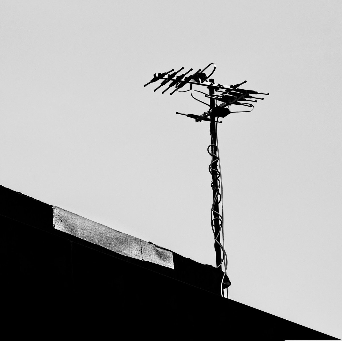 " Connect "

1/1 edition

3.69 #xtz #tezos !

Collection: - Dead City -

Check out my other nfts...
objkt.com/tokens/KT1BxPm…