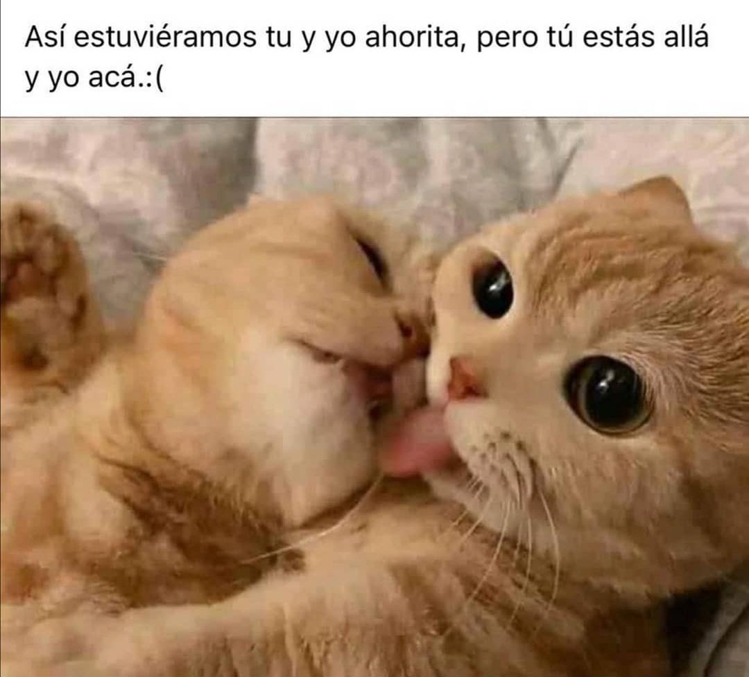 Y te haces el exquisito 🙄