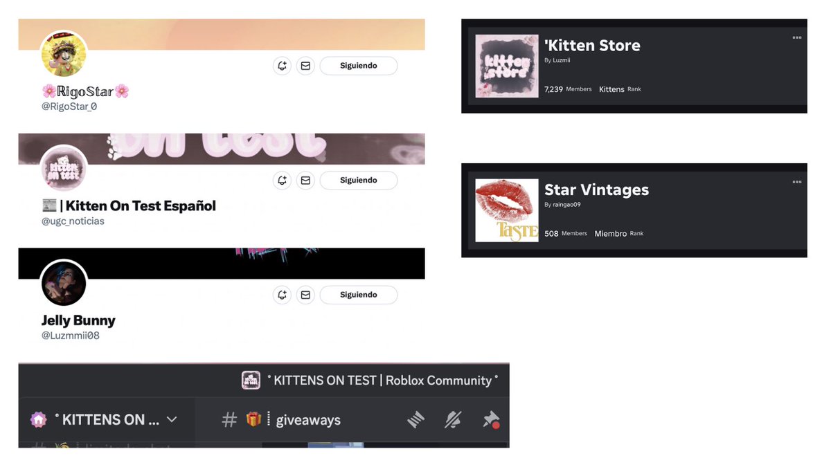 Tracy 🐢🐾 tweet media