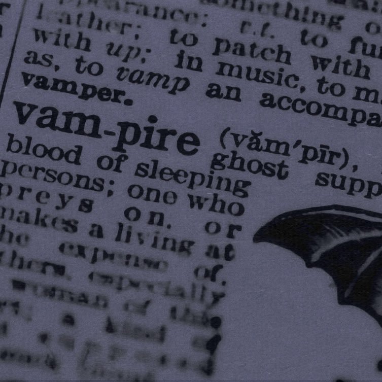 ⁫ 𝕭𝐑𝐄𝐀𝐓𝐇𝐄𝐑 ⁫ ⁫ ⁫𝕷𝐎𝐕𝐄𝐑 ͟ ͟ ͟.ᐟ tweet media