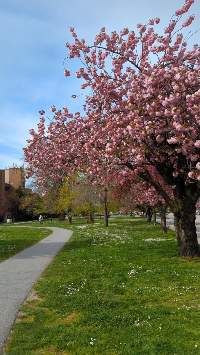 ccie found #cubiecoin in a Green vault at this location! Join me playing #cubieverse, It's awesome!   #6924349