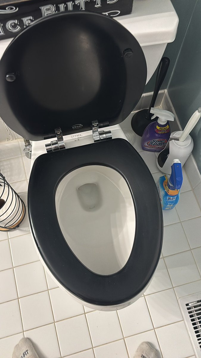 takes2toTangoB's tweet photo. Never poop on a black toilet. https://t.co/USpUxvhoCE