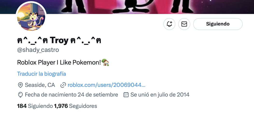 Tracy 🐢🐾 tweet media