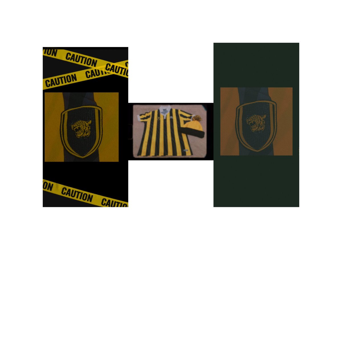 الحب اتحاد 💛🖤🐅