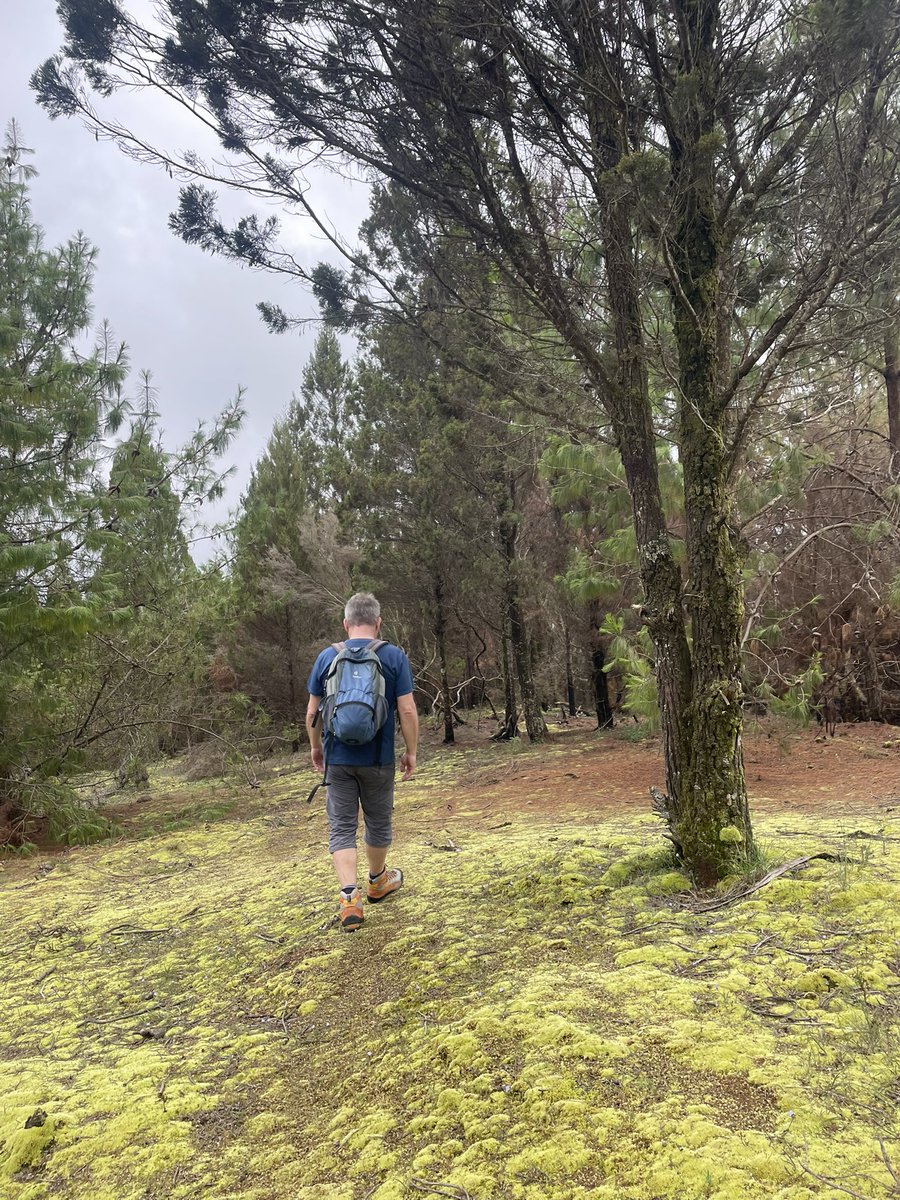 Envie d’un week-end actif et inoubliable au Burundi ?
<a href="/tanganyikalinks/">tanganyikalinkstours</a> t’emmène à la découverte du Mont Heha, le plus haut sommet du Burundi.Que tu sois sportif ou juste en quête de vibes naturelles, cette sortie est faite pour toi.
Réserve maintenant :+25776119310
#visitburundi