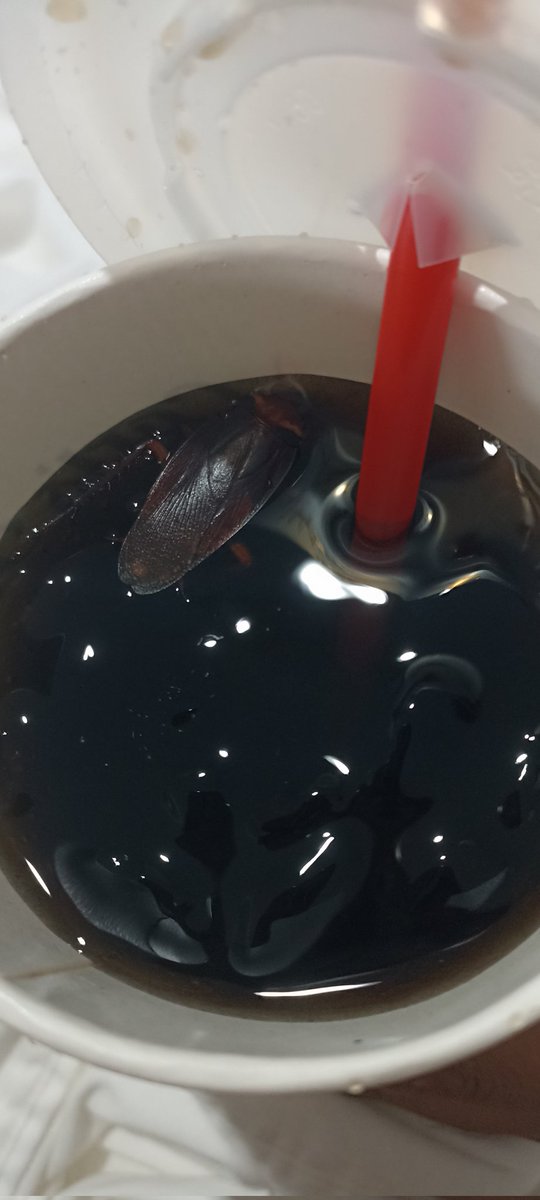 AlexaLerma94's tweet photo. @CarlsJrMx Acabamos de llegar de la sucursal de Camarón Sábalo en Mazatlán, Sinaloa. Estamos sorprendidos por qué en el refresco venía una asquerosa cucharacha!!! De verdad que jamás nos había pasado eso y sabrá Dios si nos haga daño haber probado eso!!! https://t.co/2JJdDWRGOA