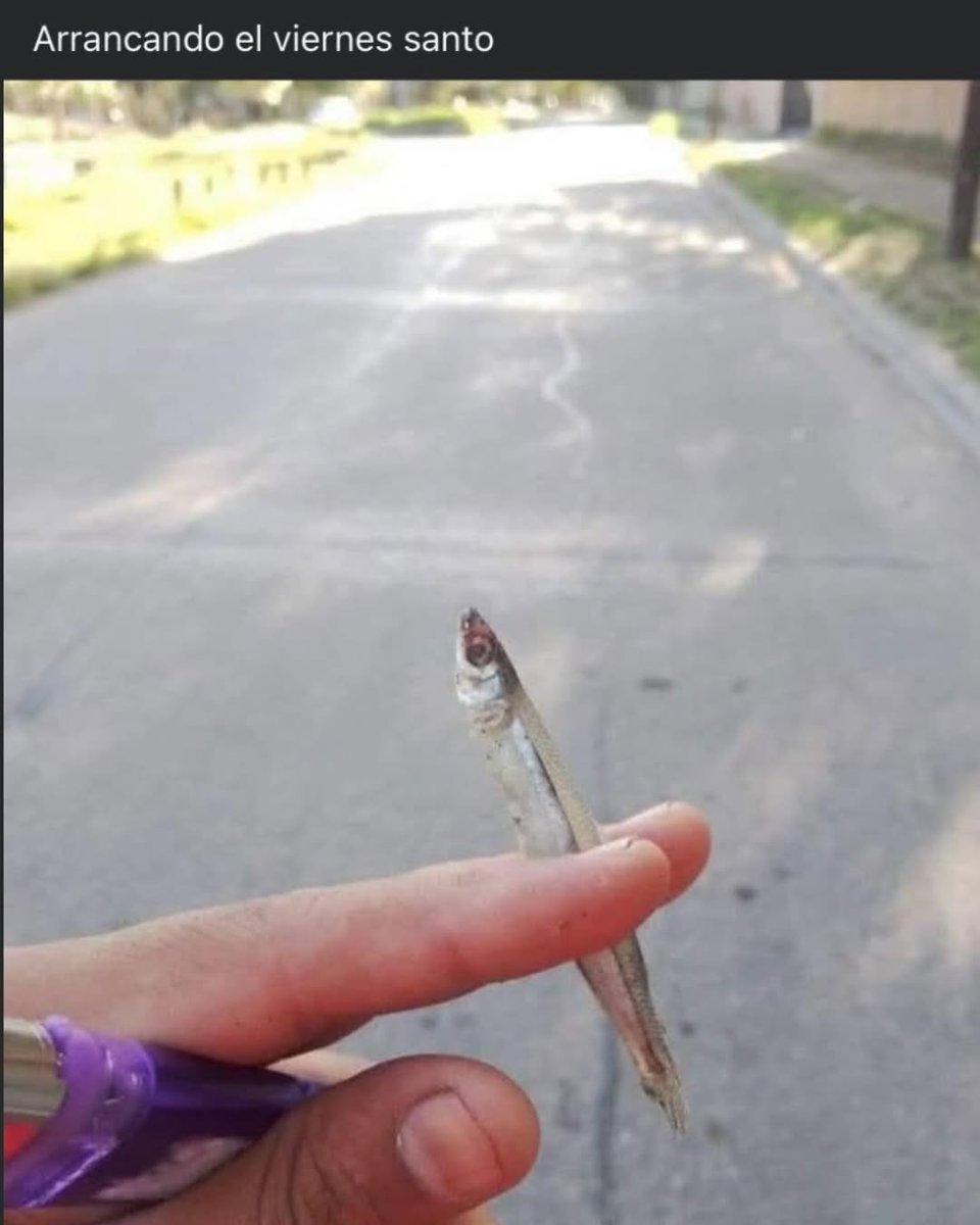 DJ CUCHILLO 🔪 (@cenizen) on Twitter photo 