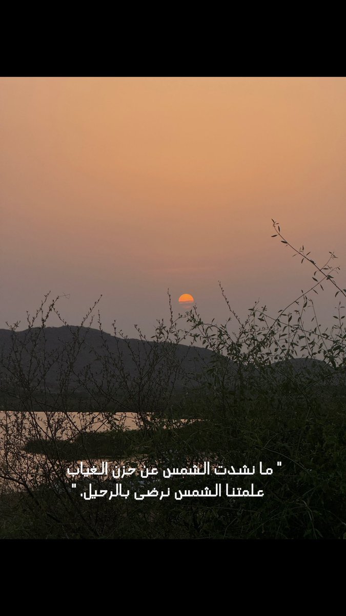 #بدر_بن_عبدالمحسن