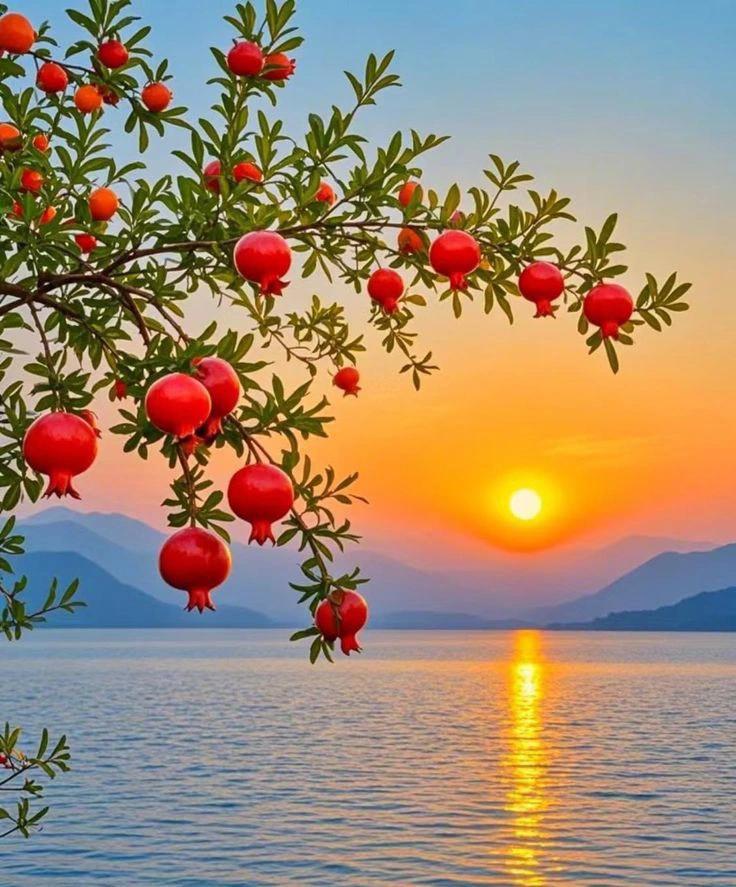 Have A Good Beautiful Morning X Fam 

Who All R Active RN Let's Engage ...