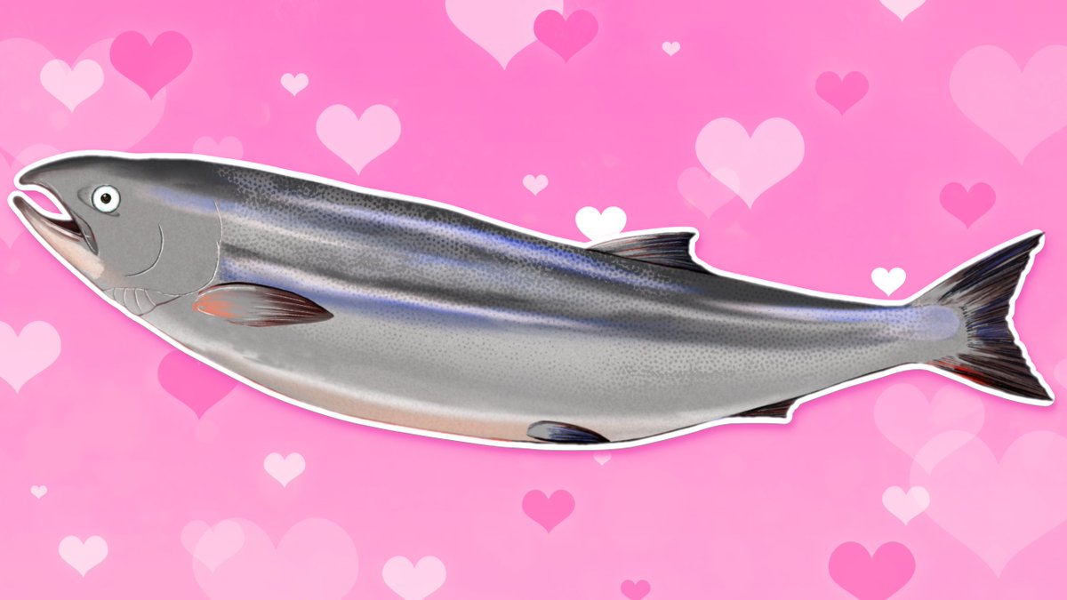 sakeko_salmon's tweet photo. 💖 #無言で立ち絵を貼るとフォロワーさんが増える 💖 https://t.co/1I9IkIPOP4
