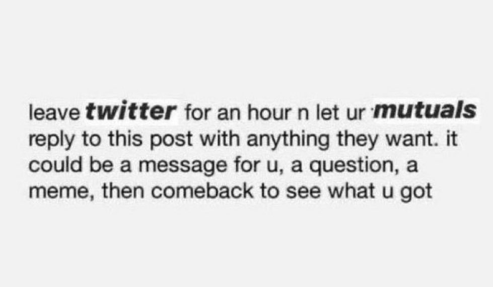 Hau🪼🫧 tweet media