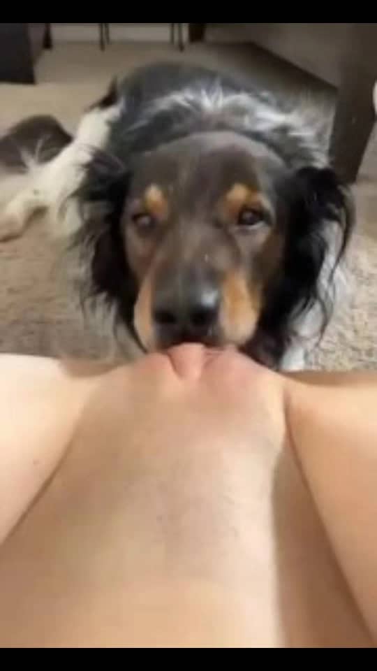 sandra_knotty's tweet photo. DM me 🗳️for hottest content click link now for more extremely knotty 🥵content let me blow your mind
https://t.co/czbggFnV51
#zoophillia #zoosarevalid #beastiality #dogknot #zooprideisvalid #zoophile
#hypnotistzoophilesarevalid #zoophiletwt
#zootwt #zoopositivity
#grope #Pardi #j https://t.co/IQtCY7eICQ