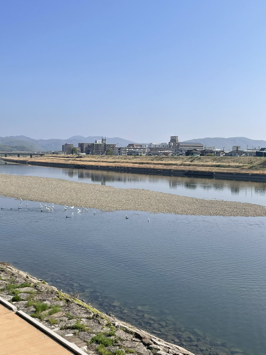 今日19日土曜日はおやすみです。