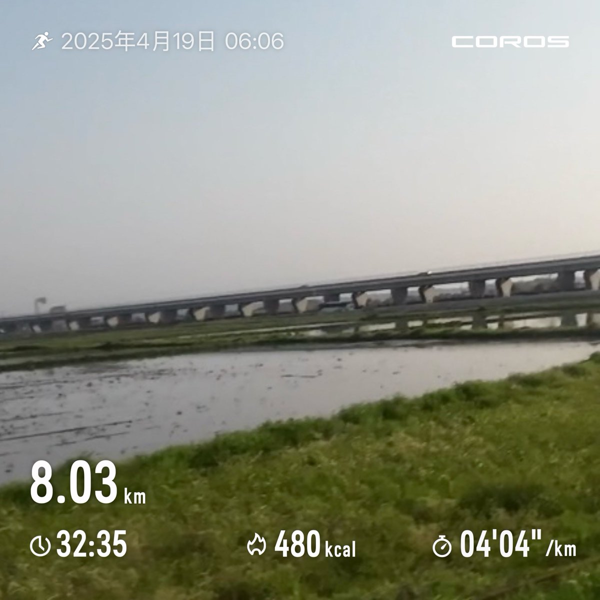 WELOVESUNS's tweet photo. 朝ラン🏃先週と同じLT走。心肺はほとんど無酸素ゾーン、でも止められず😫
だいぶ汗ばむ季節になった。
#朝ラン　#ジョギング　#閾値 https://t.co/Lc6AKewOjl