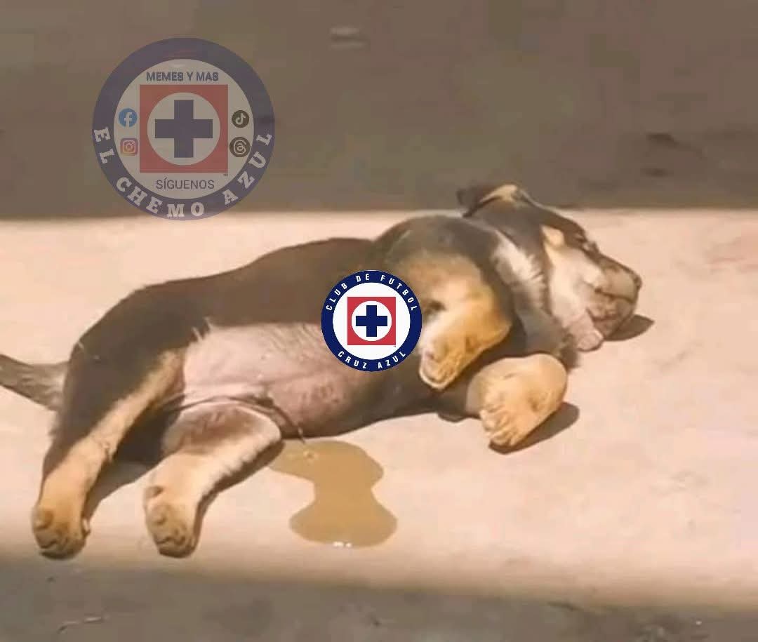 19jmss16's tweet photo. Yo soñando que @CruzAzul gana el doblete https://t.co/eTEXBTJuMu
