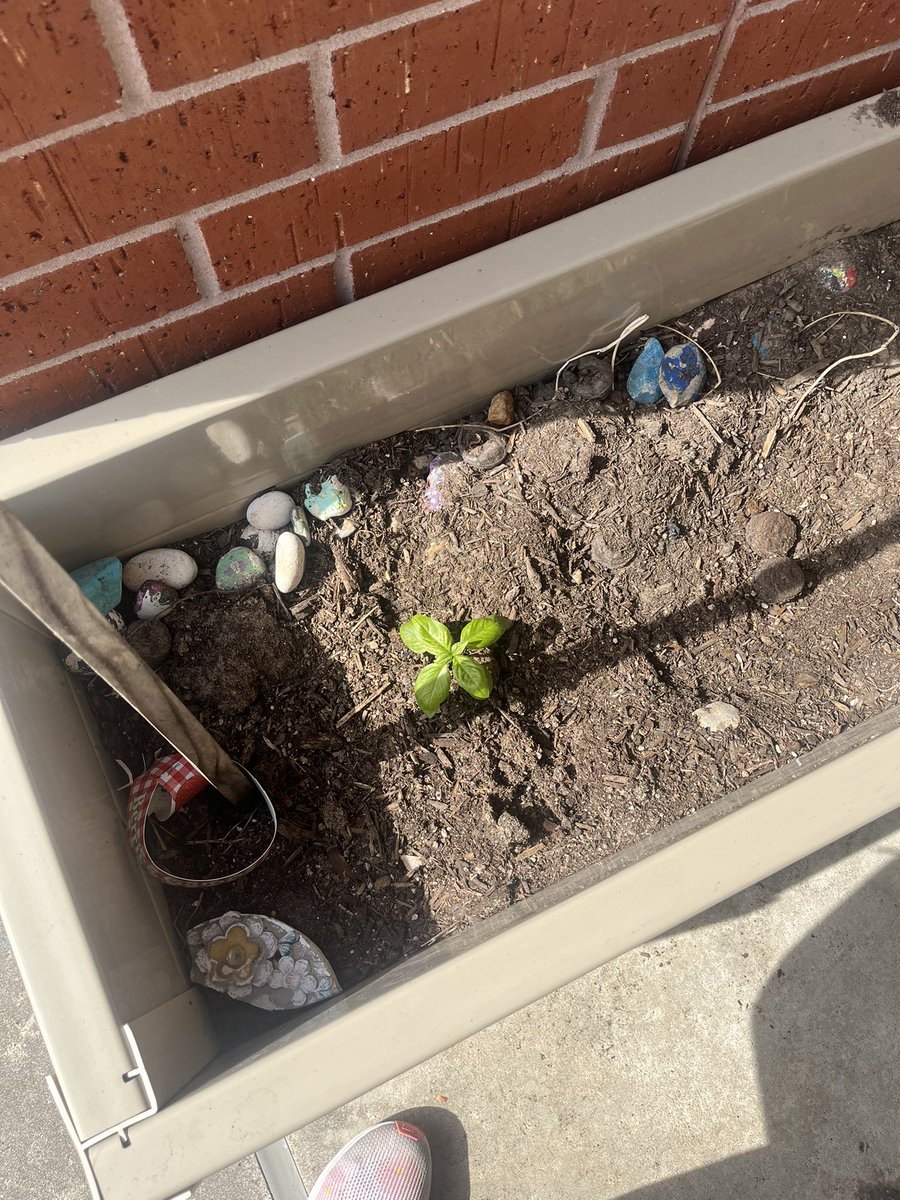 Thank you to Pack 346 for cleaning the weeds out of the Metzler garden. Your hard work is so appreciated!