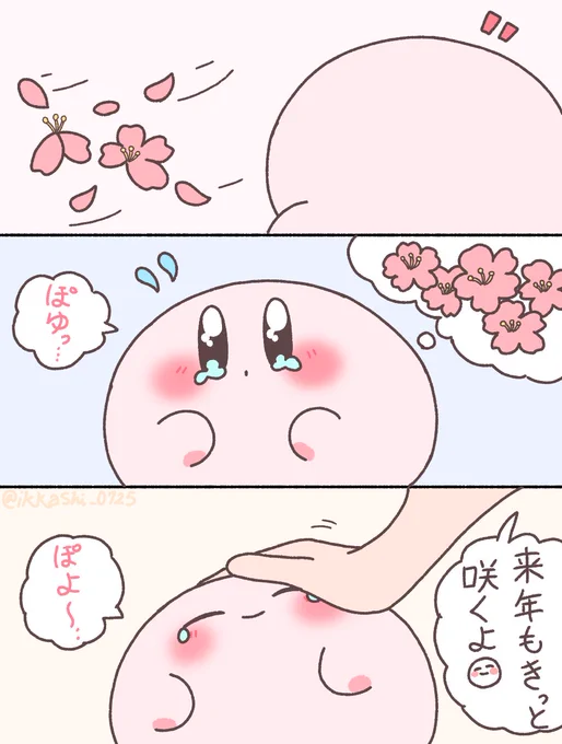 そろそろ満開は終わりを告げる🌸 