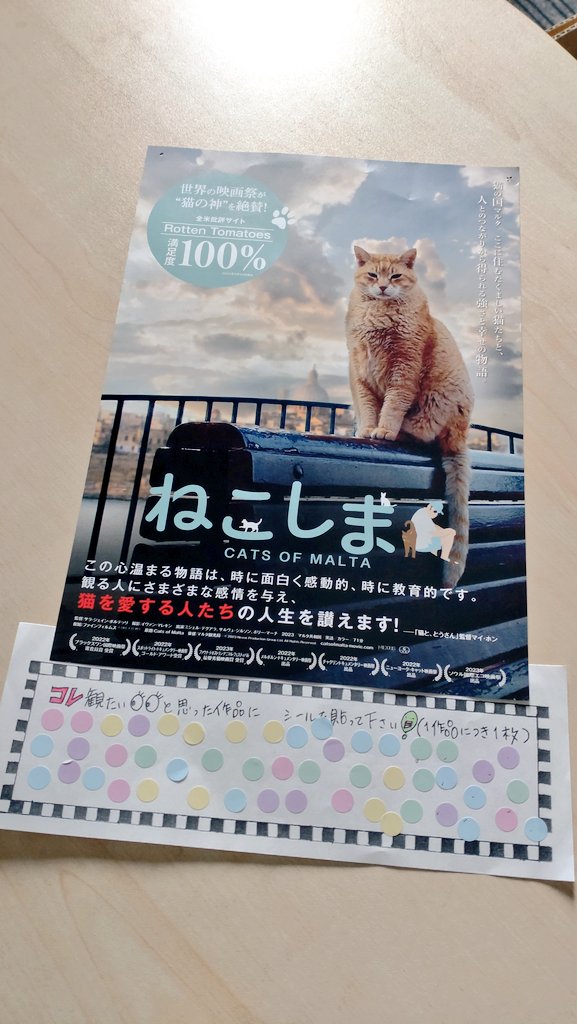 前回の「この映画、まちキネで観たい！」投票企画で断トツの得票数だった『#ねこしま』が本日より上映スタート👏ぜひともご注目ください！※5月2日(金)までの上映です🐈
<a href="/catsofmalta0110/">映画『ねこしま』公式 2025.1.10公開</a>