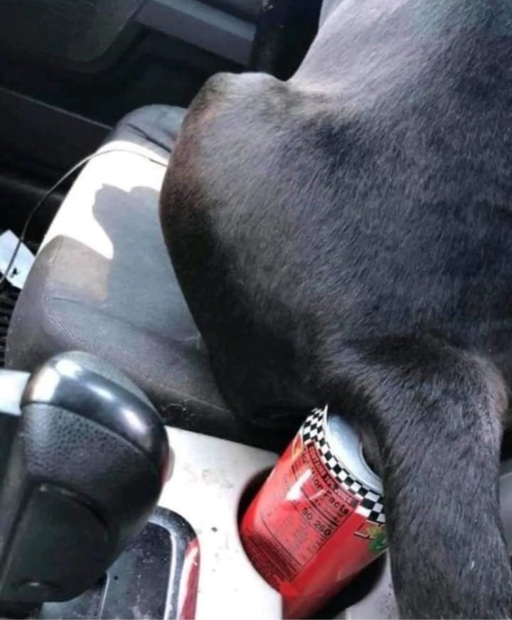 Dan Vasc tweet media