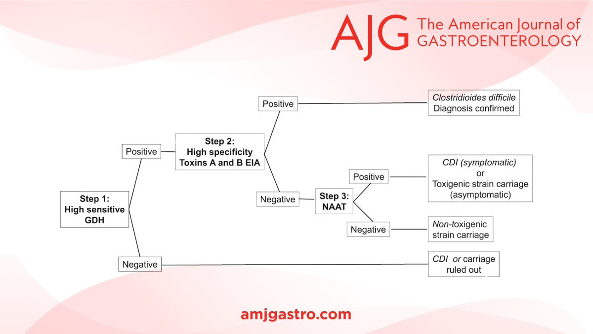 AJG - The American Journal of Gastroenterology (@amjgastro) on Twitter photo In the 📕#RedJournal:
When and What to Test for Diarrhea: Focus on Stool Testing
Michael Camilleri, MD, DSc, MRCP (UK), MACG
➡️ bit.ly/43VA5kI
<a href="/JasmohanBajaj/">Jasmohan Bajaj</a> <a href="/MLongMD/">Millie Long</a> <a href="/AmCollegeGastro/">ACG</a> In the 📕#RedJournal:
When and What to Test for Diarrhea: Focus on Stool Testing
Michael Camilleri, MD, DSc, MRCP (UK), MACG
➡️ bit.ly/43VA5kI
<a href="/JasmohanBajaj/">Jasmohan Bajaj</a> <a href="/MLongMD/">Millie Long</a> <a href="/AmCollegeGastro/">ACG</a>