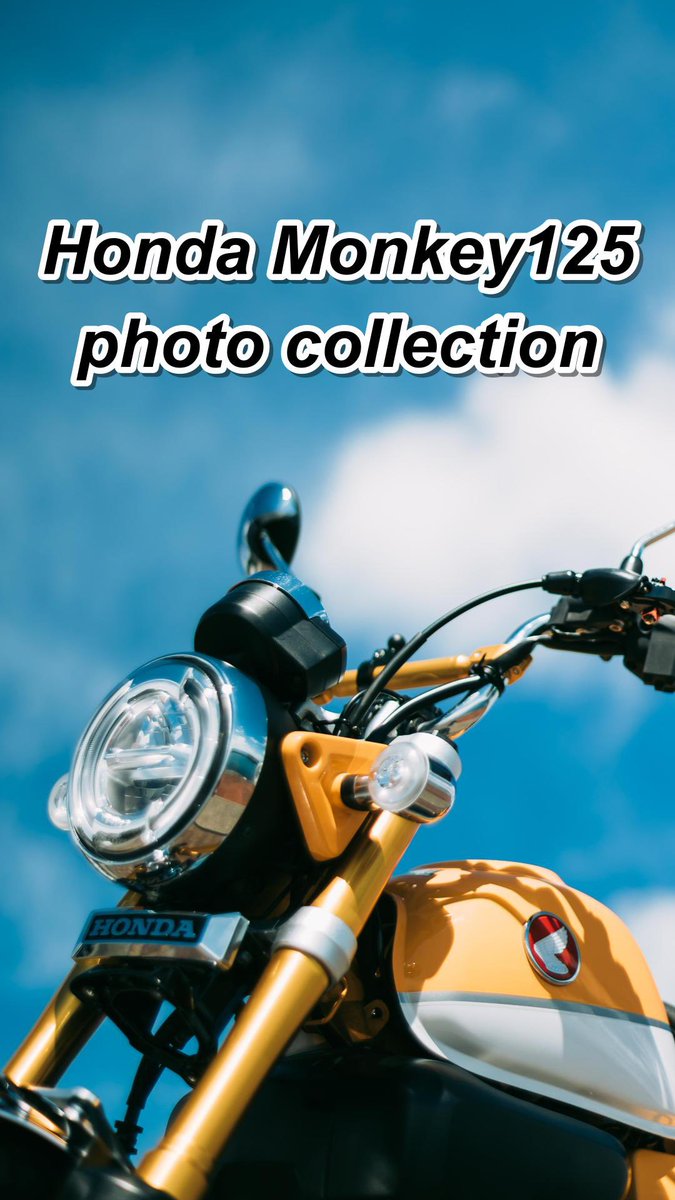 ちびた モンキー125 (@Chibita_camera) / Posts / X