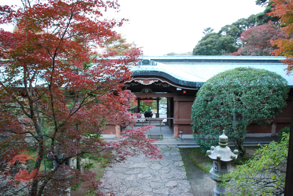 shikoku4k's tweet photo. Negoroji in Takamatsu is surrounded by vibrant autumn foliage.
I took these in 2007… and honestly, most were awful.
Should I return with the iPhone 14 Pro/Hasselblad and do it justice?
See the journey: https://t.co/FILgXpsRxy
#ShikokuPilgrimage #BuddhistTemples #FallColors #JapanFromAbove #四国遍路