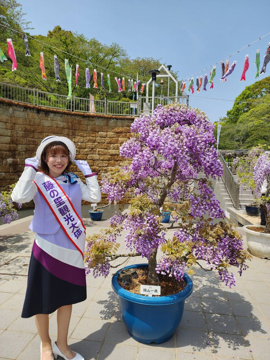 hawaiini_ikitai's tweet image. monami chanの就任式🫶
一緒に写真撮るの忘れちゃった😭😭
サインに写真に人気者だったからあんまりお話しできなかったけど、次はワタシもサイン貰わなきゃ🥰

#藤の里観光大使 #monami #ichigoichie