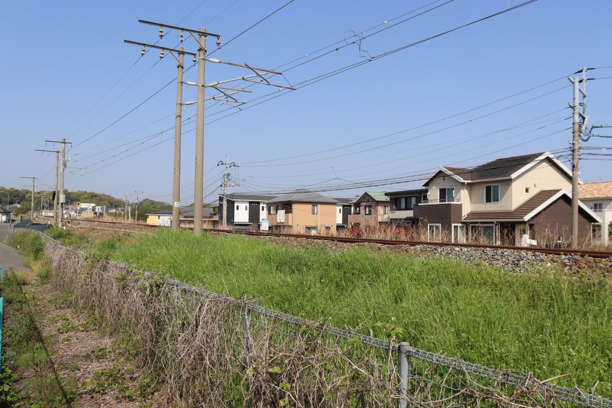 jikko680687's tweet photo. 【今日の885系】2025/4/19(Sat)
9051M臨時特急ピクミン1号 大分9:36発 宮崎行き(宮崎13:00着)
885系 SM5編成(本ミフ)
PIKMIN×JR九州~魅惑の惑星キュウシュウを探索せよ~プロジェクト ラッピング車両
#885系 #SM5 #南福岡車両区 #PIKMIN #ラッピング車 #特急 #ソニック #日豊本線 #大在駅 #坂ノ市駅 https://t.co/jh8o3rGuny