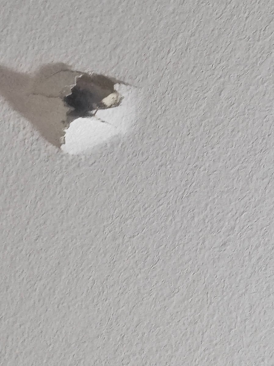 maritalena's tweet photo. @ColoColo Linda la celebración 🤬 https://t.co/qYiW91Q4y6