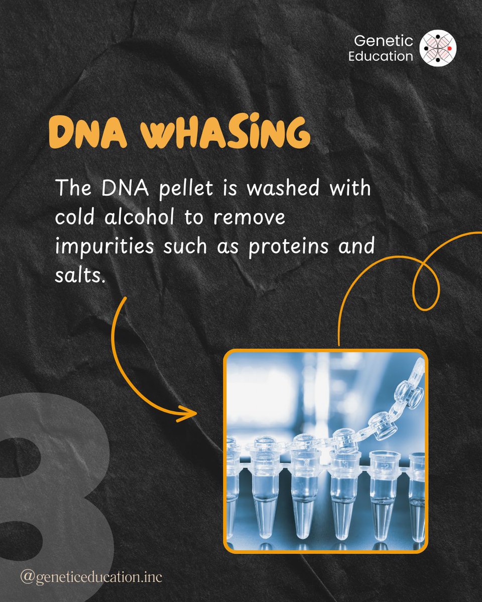 GeneticEdu's tweet photo. How do we extract DNA?
Swipe to see the basic steps! 🧬
#DNAExtraction #Genetics #LabBasics https://t.co/XDciiKApM5