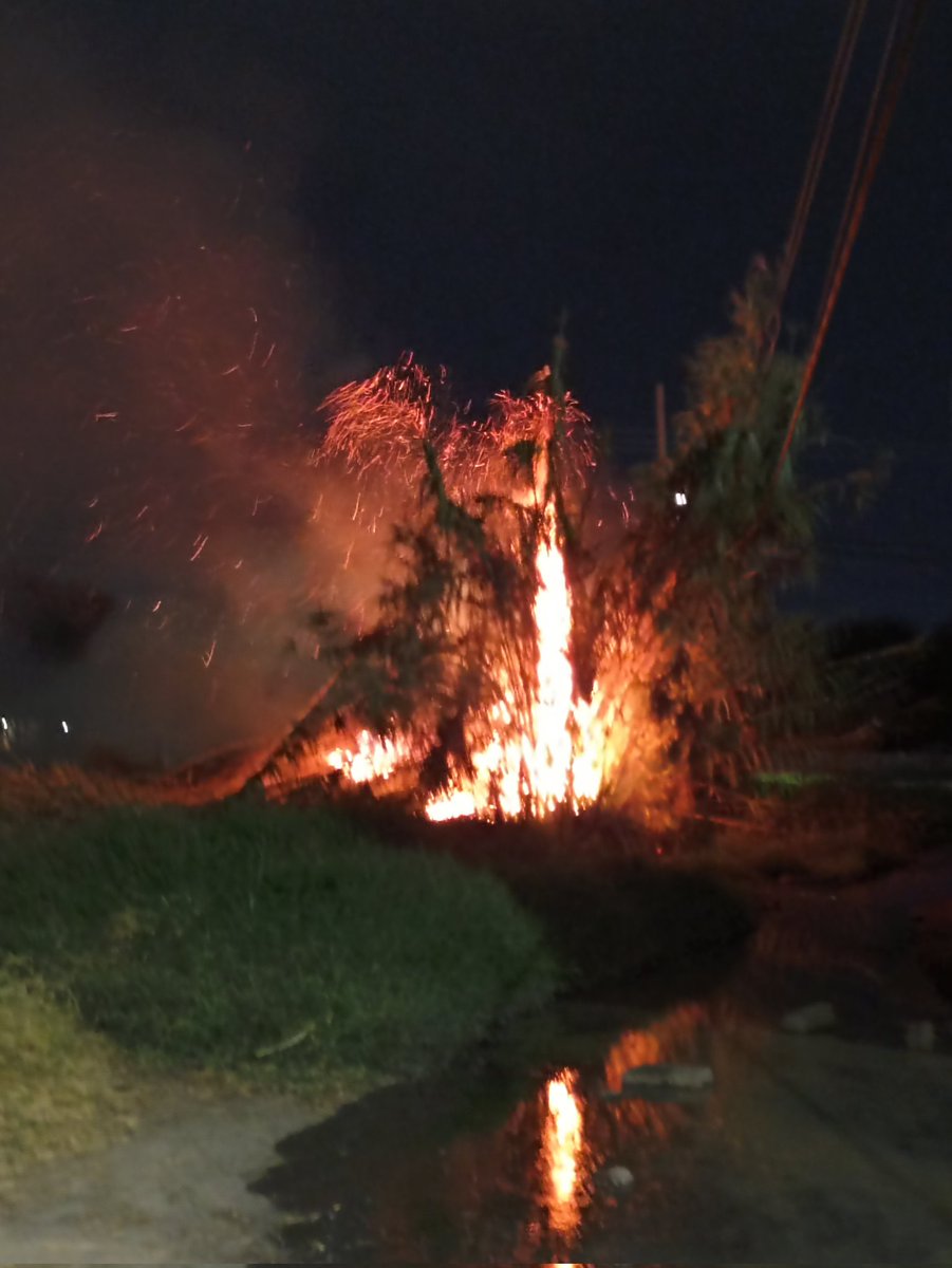 lmortiz2002's tweet photo. @C4_Oaxaca incendio de carrizales en la colonia Santa Anita parte baja, atrás de bodega Aurrerá, ya se reportó al 911, aún no han llegado los @bomberosoaxaca https://t.co/4DxpzIOrmY