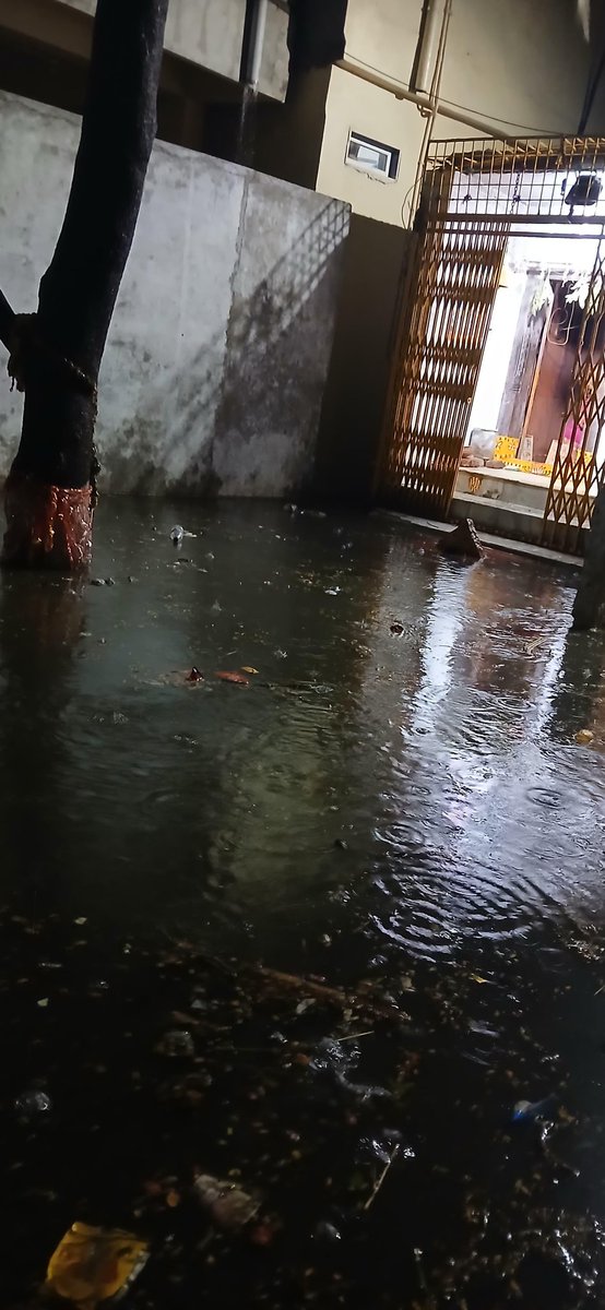 vikrampnrk's tweet photo. Clogged drains aren���t just gross @ Jambagh behind soni mahal —they’re dangerous. Stagnant water breeds disease, invites pests, and can cause serious slip-and-fall accidents. Don’t ignore the drip—it’s a disaster in disguise. #WaterClogging #SafetyFirst https://t.co/orqzjspqE8