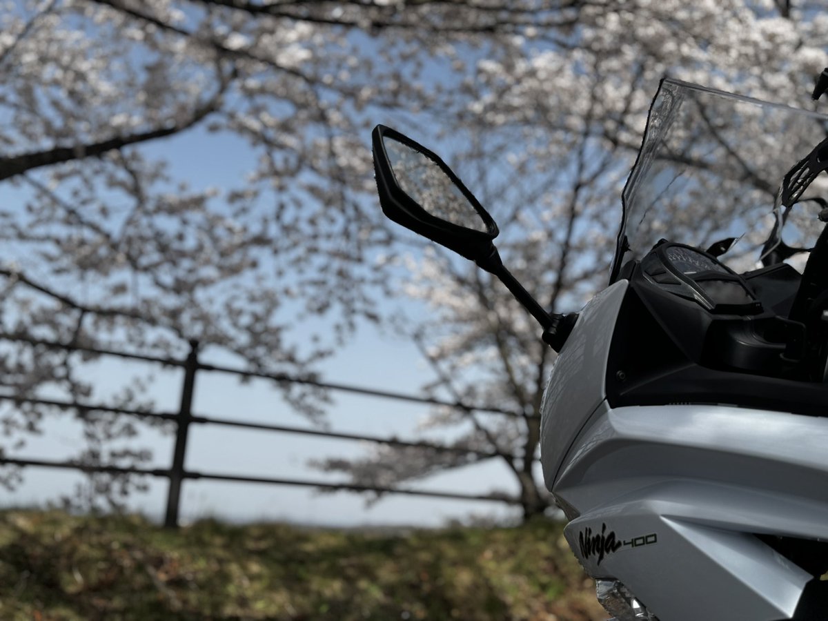 elasti400's tweet photo. https://t.co/nqT8mrEWCp
