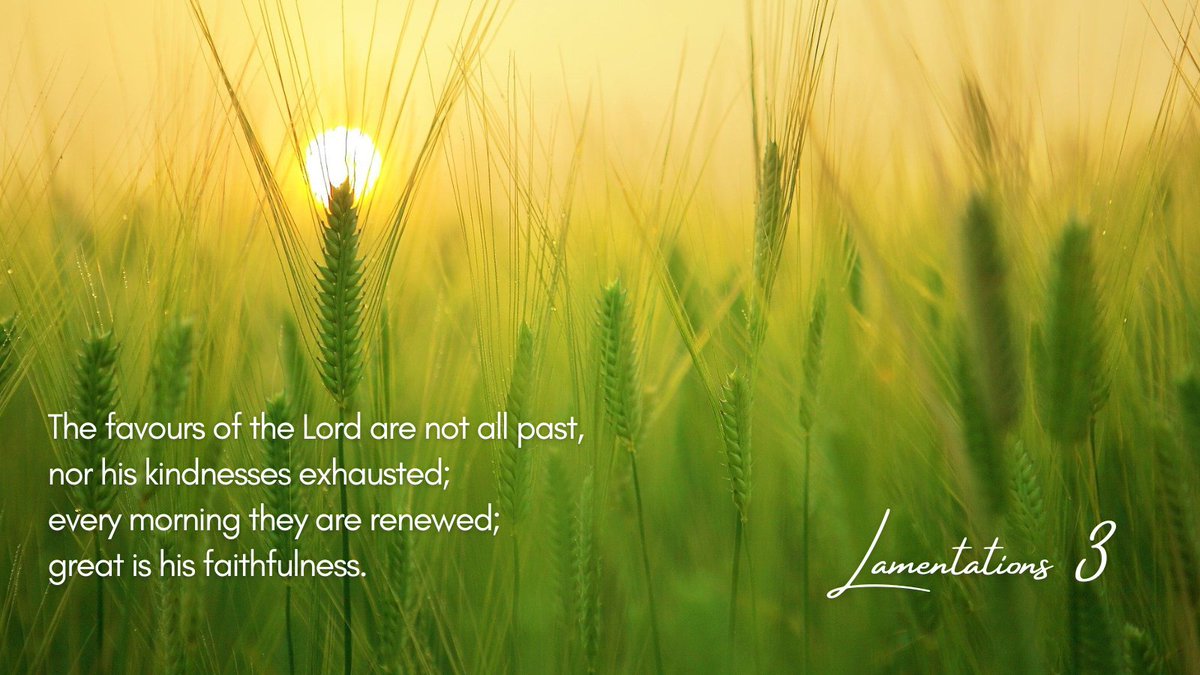 Sr Miriam McNulty tweet media