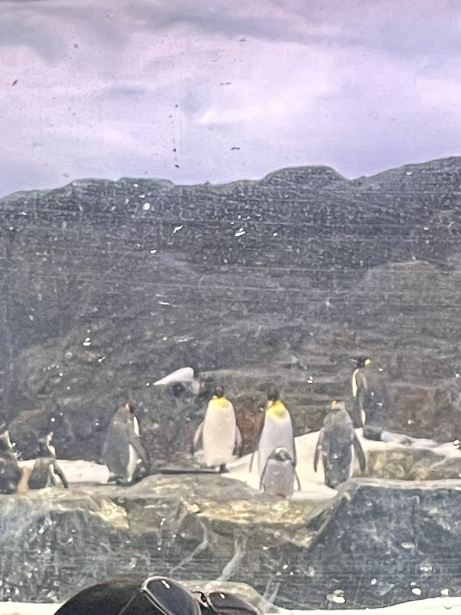 Just smile and wave boys, smile and wave