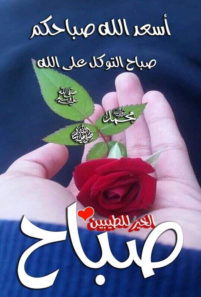 esam0059's tweet photo. لا سلطة لنا على قلوبنا هي تنبض لمن أرادت و متى أرادت و كيفما أرادت ..
بعضهم ينبض القلب له
و البعض ينبض القلب به
و بعضهم هم نبض القلب ..
#صباح الخيرات https://t.co/syAbeTptcW