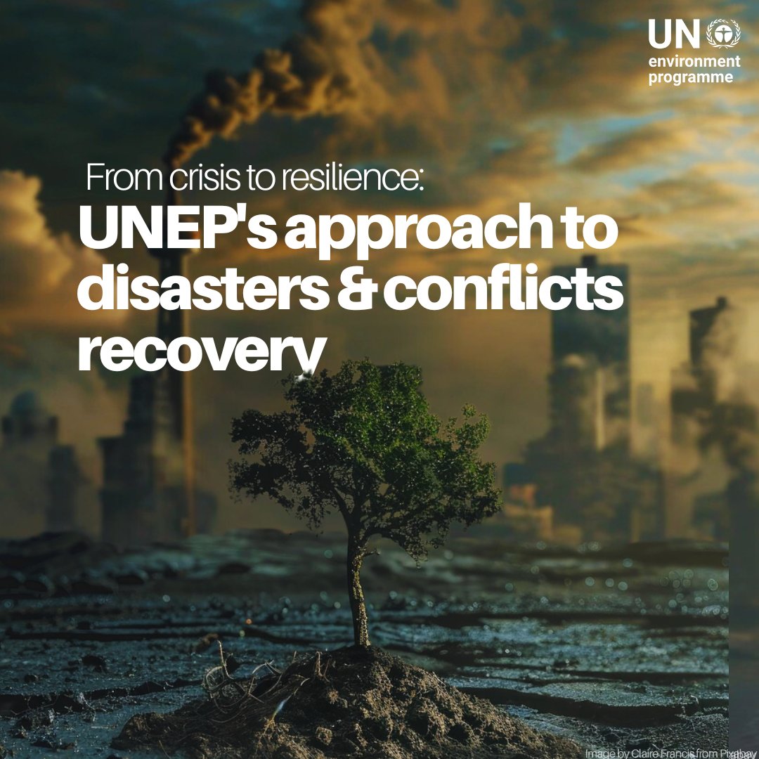 UNEP's tweet photo. Wars and armed conflicts severely harm the environment, polluting ecosystems and threatening food and water security, as well as human health.

Discover how UNEP helps countries prepare for and recover from these environmental impacts: https://t.co/qJ4mXAZXvO https://t.co/bMmOH02B8Q