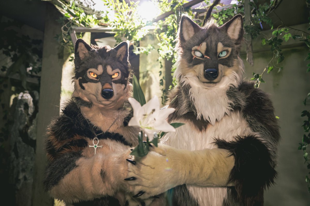 [補貼]
🐺： <a href="/MinelodyWolf/">Ankh 安卡 ➠ UTFG 2025</a> &amp; me
📸： \大助貓貓/
#FursuitFriday