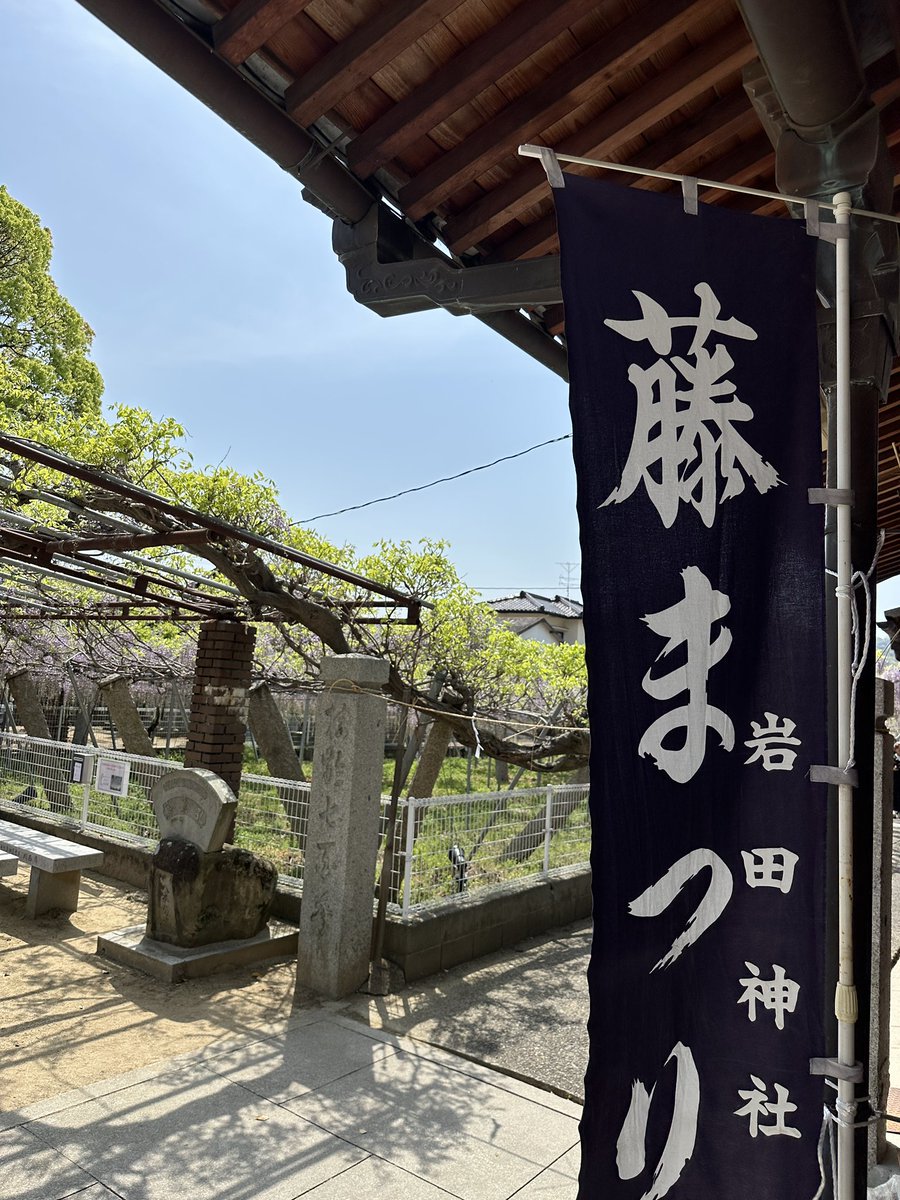 gakuchan0212's tweet photo. 暑い!夏です!革ジャン無理💦
天気いいのでバビューンとうどん県まで #釜玉うどん 食べに来ました。
ついでに近くの #岩田神社 で #藤まつり をやってたのでふらっとお邪魔しました。
#おっさんの休日 #手打麺や大島 #ハーレーダビッドソン #FXDF #FATBOB https://t.co/soT4LzaG0J