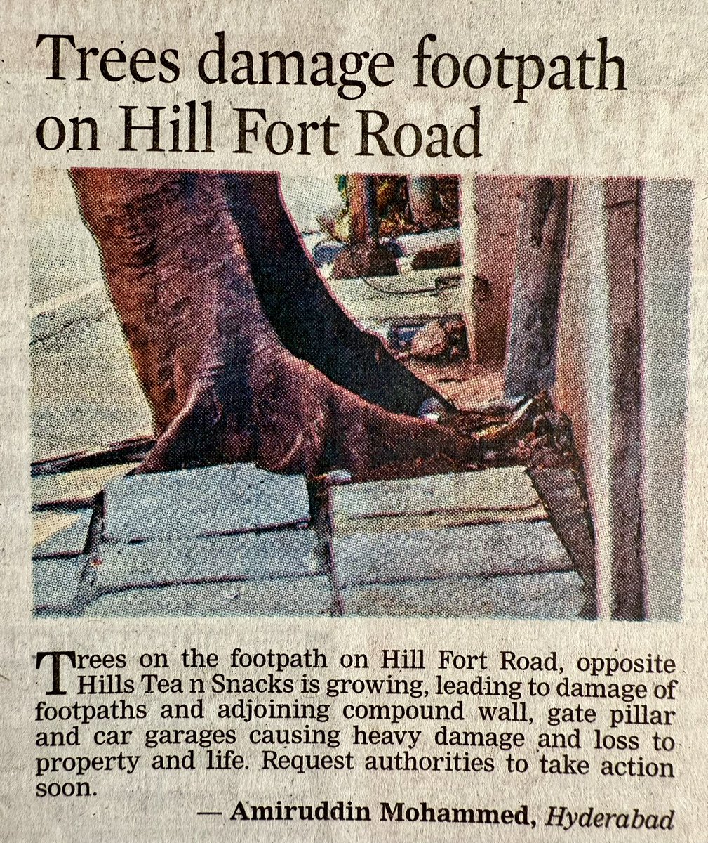 vata_foundation's tweet image. So the solution is…. what?? 

#SaveFullyGrownTrees 
@GHMCOnline 
@UrbanGhmc 
@DeccanChronicle 
#Speakout