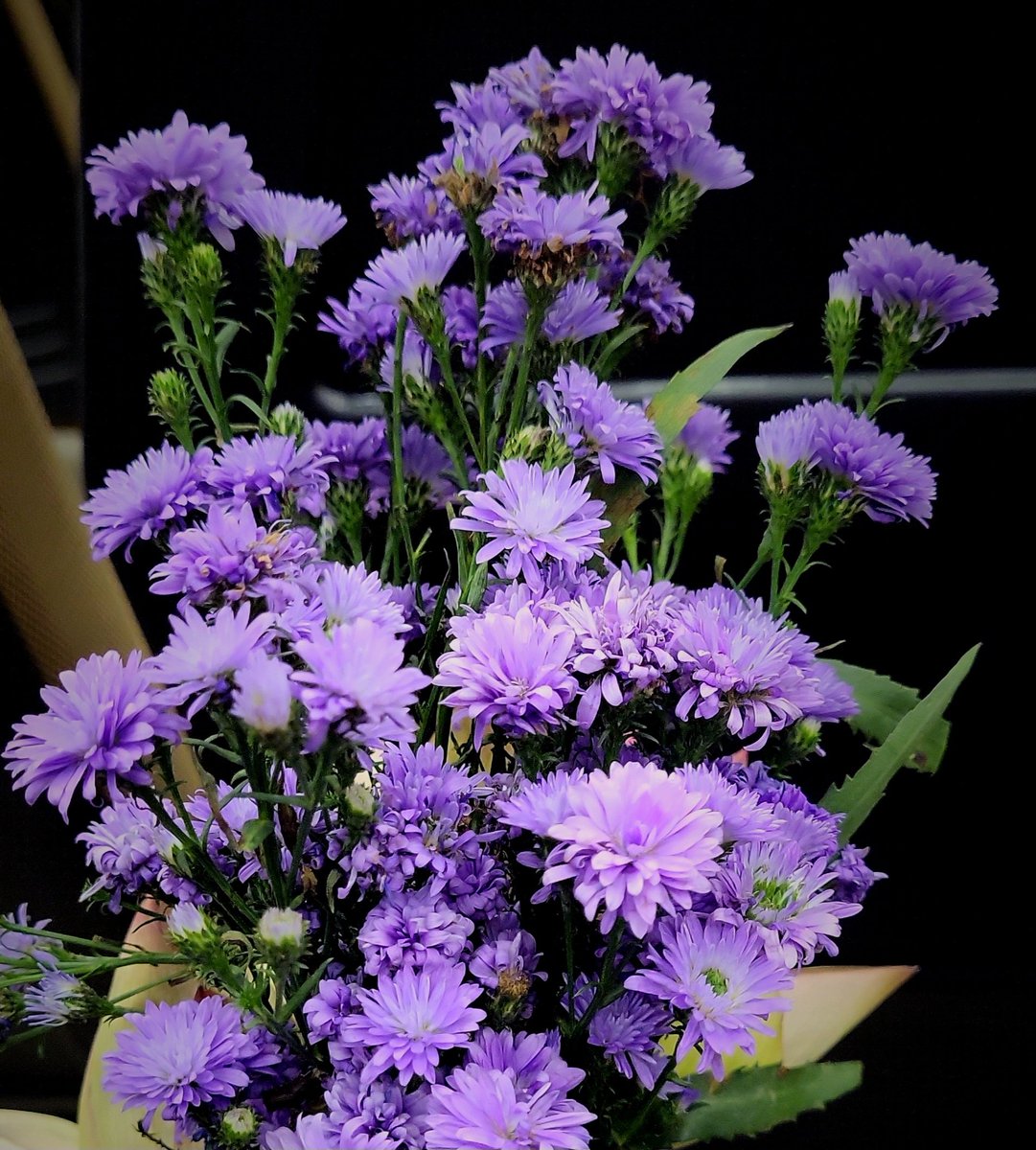 soorya_anil's tweet photo. 𝓣𝓱𝓮 𝓪𝓻𝓽 𝓸𝓯 𝓸𝓫𝓼𝓮𝓻𝓿𝓲𝓷𝓰 𝓪𝓷𝓭 𝓷𝓸𝓽 𝓪𝓫𝓼𝓸𝓻𝓫𝓲𝓷𝓰.... https://t.co/AcWr3GcCxS