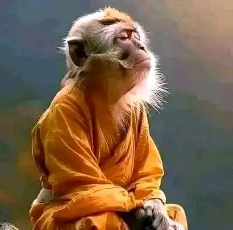 MinenhleK007's tweet photo. @do_me_69 @ChrisExcel102 We'll support him msunu https://t.co/OEjsTkZG4p